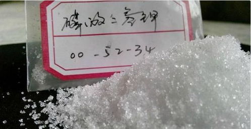 長壽花蟹爪蘭年年裝菜？今年澆透2種水，30天竄出圓潤花苞！